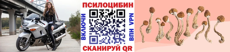 Галлюциногенные грибы MAGIC MUSHROOMS  Балабаново 