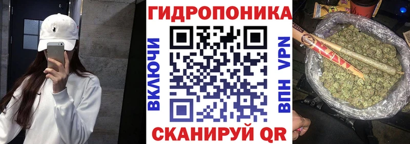 Бошки Шишки планчик  Балабаново 